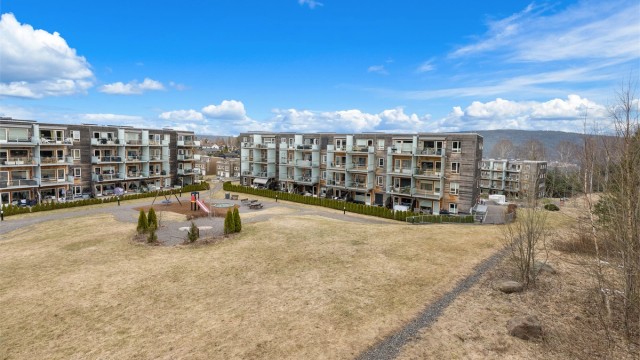 Sameiets tomt er pent opparbeidet