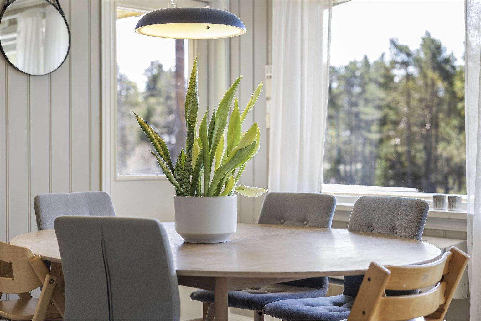 Store vinduer i stuen gir godt med naturlig lys og rammer inn utsikten mot naturen.