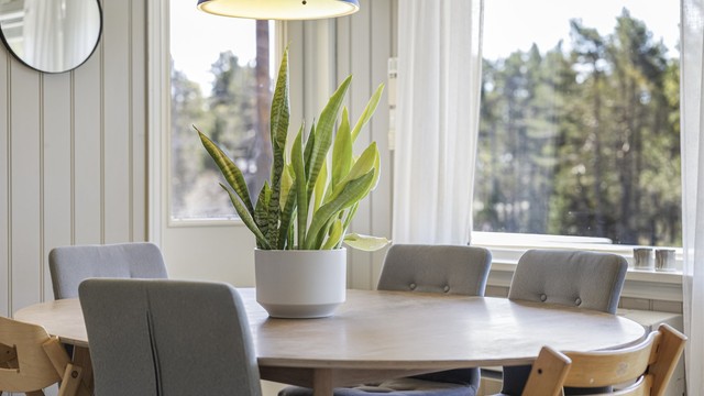 Store vinduer i stuen gir godt med naturlig lys og rammer inn utsikten mot naturen.
