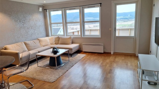 Romslig stue, med plass til sofa gruppe og spisestue