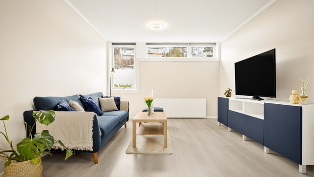 Radiatorer og felles varmtvann tilknyttet felles sentralvarmeanlegg.