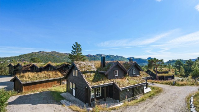 Djupetjønn Hyttegrend 102