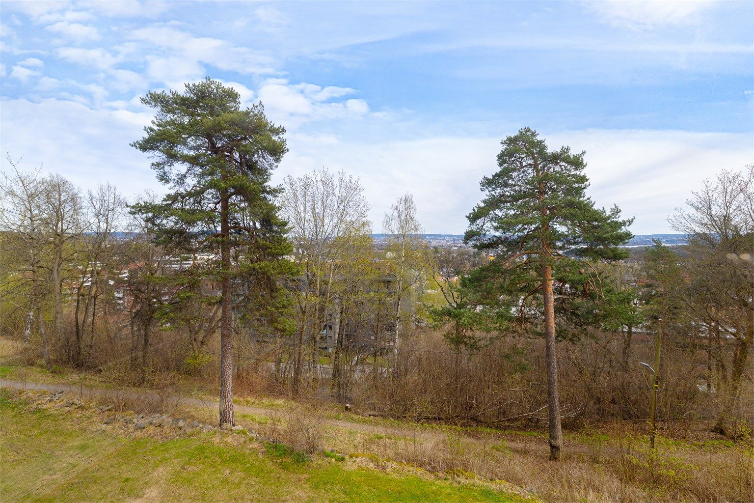 Utsyn over det grønne og frodige nærområdet. Eiendommen ligger i et område med nærhet til natur og turmuligheter.