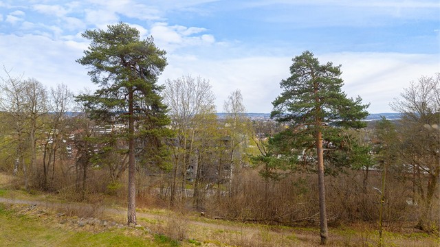 Utsyn over det grønne og frodige nærområdet. Eiendommen ligger i et område med nærhet til natur og turmuligheter.