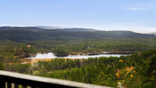 Utsikt mot Bjønntjønn og det duvende landskapet.
