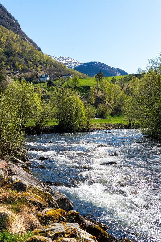 Elven byr på naturopplevelser rett utenfor døren.