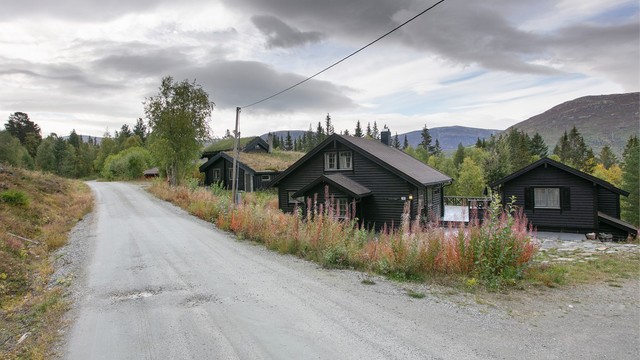 Adkomstvei inn til eiendommen i etablert hytteområde i Kongelberget.