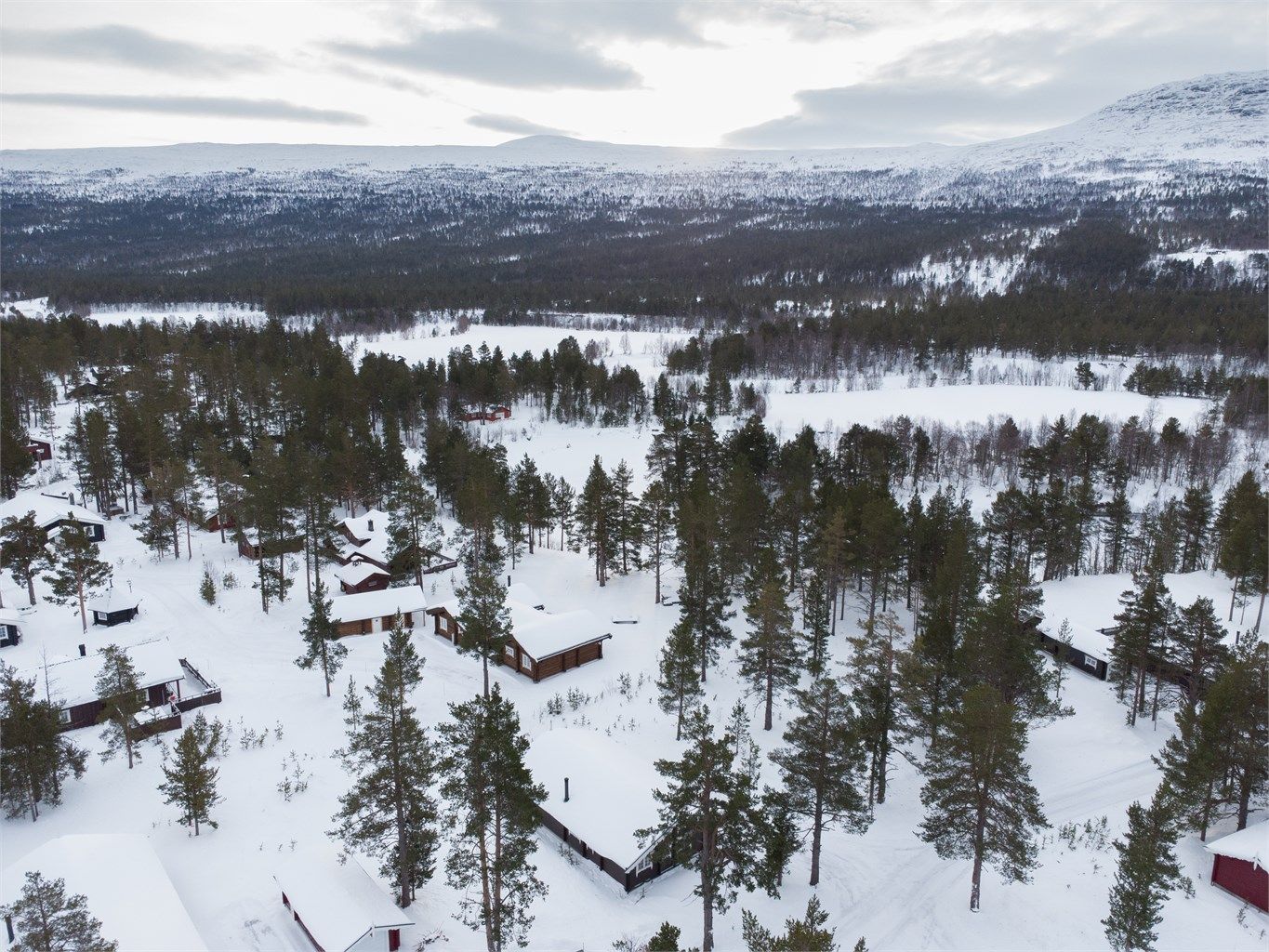 Dronebilde nærområdet