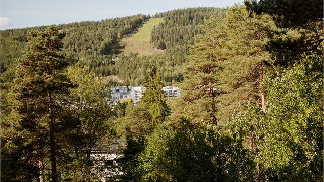 Utsikten fra soveromsvinduet er som et lite avbrekk i hverdagen – trær, sol og Lillomarkas bakker rett utenfor vinduet. Her får du naturen helt inn på sengekanten!