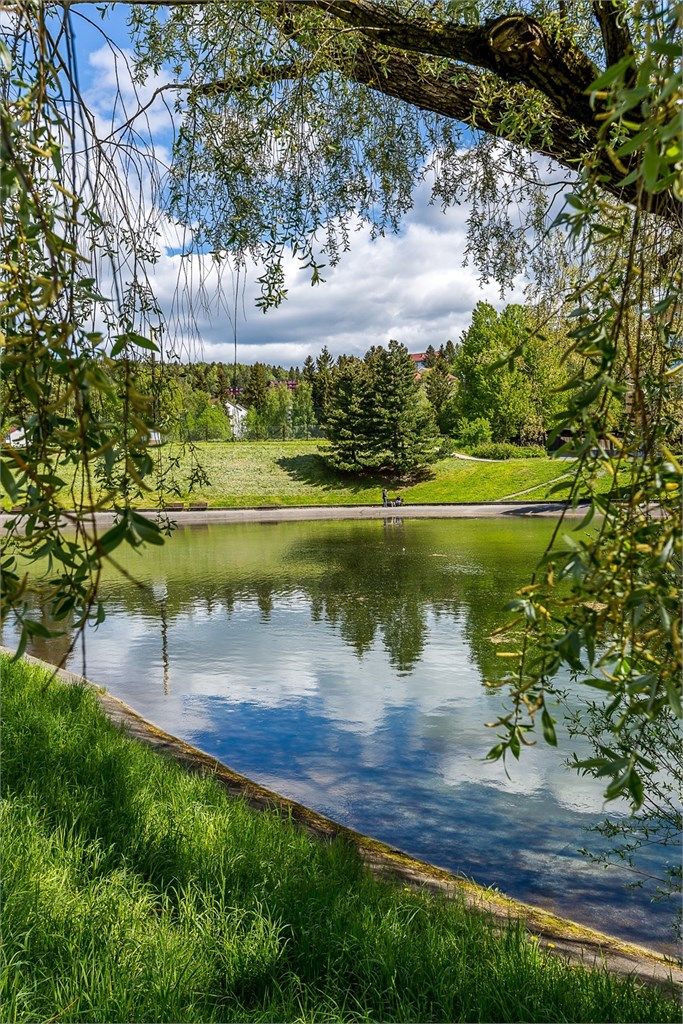 Badedammen på Tonsenhagen