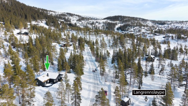 Velkommen til Gvitsteinåsen 50!