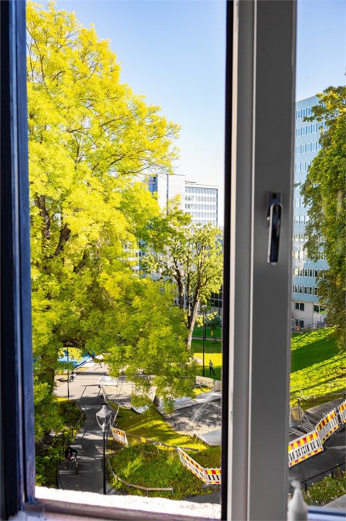 Flott utsyn mot nylig oppgradert park.
