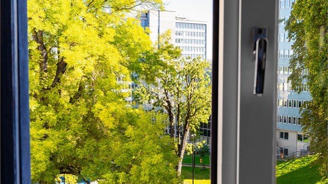 Flott utsyn mot nylig oppgradert park.