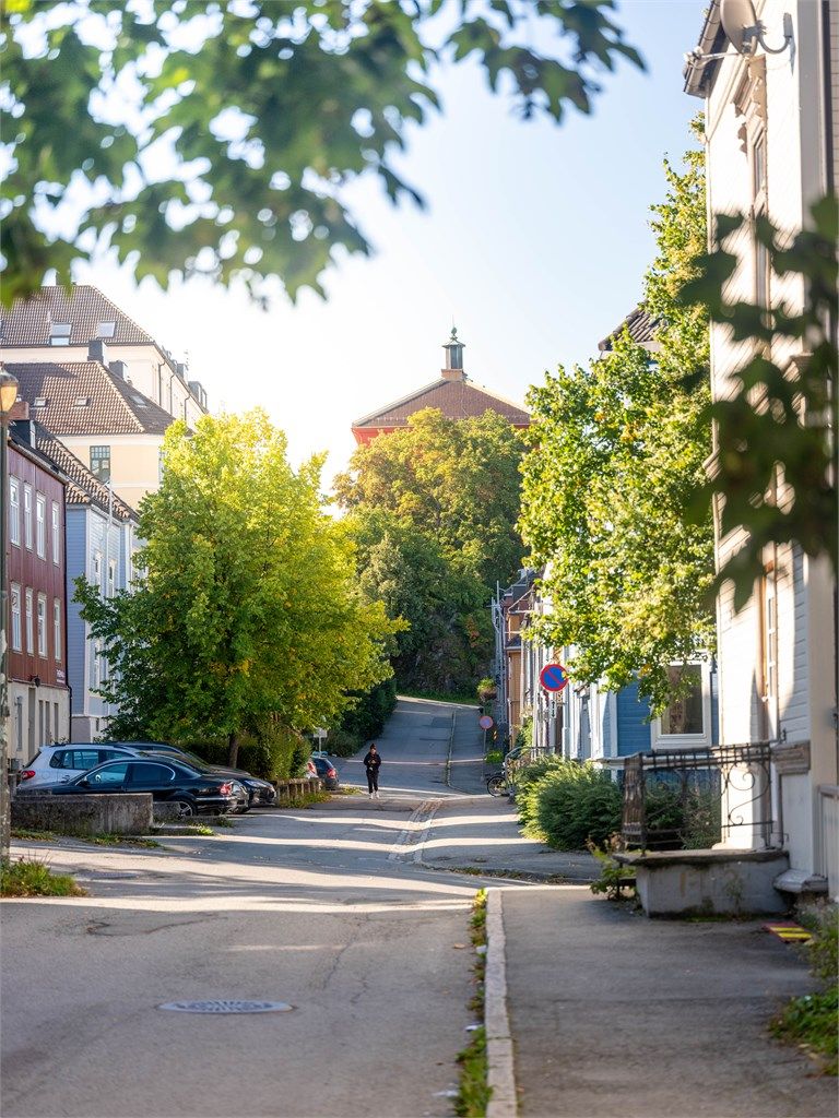 Øvre Møllenberg gate. Bispehaugen skole ruver i bakgrunn. 