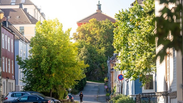 Øvre Møllenberg gate. Bispehaugen skole ruver i bakgrunn.