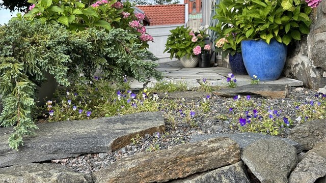 Fra eiendommen er det utsikt mot Trefoldighetskirken, et landemerke i Arendal.