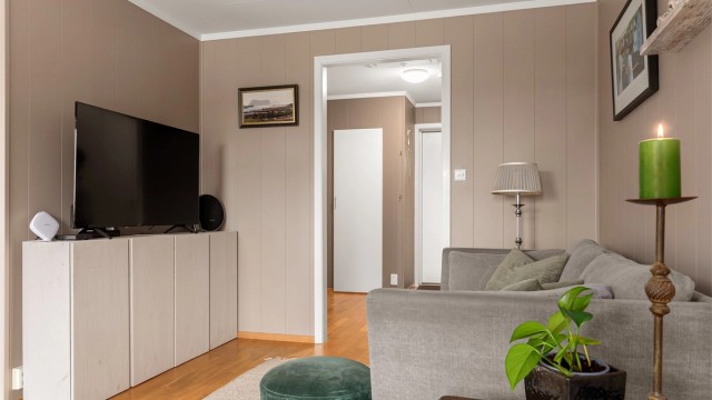 God plass til sofa i tilknytning til tv`en