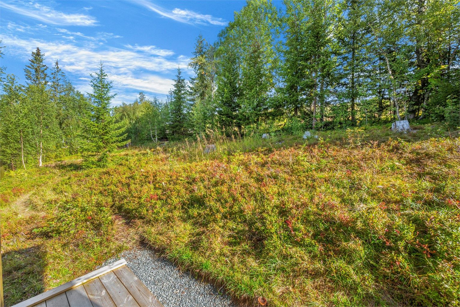 Flott naturtomt med godt bærterreng både rundt hytta og i området. Rikelig med blåbær på egen tomt