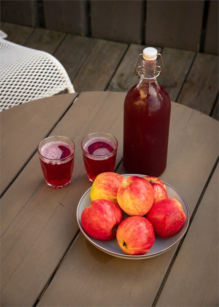 Nydelige og velsmakende epler med god holdbarhet og hjemmelaget saft fra hagens bærbusker (røde stikkelsbær og rips). 
