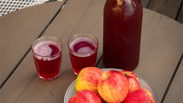 Nydelige og velsmakende epler med god holdbarhet og hjemmelaget saft fra hagens bærbusker (røde stikkelsbær og rips).