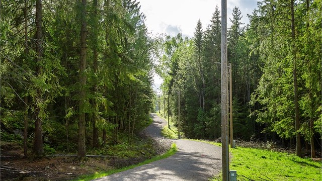 Bråteskogen byr på flotte turstier og lysløyper rett i nærheten.