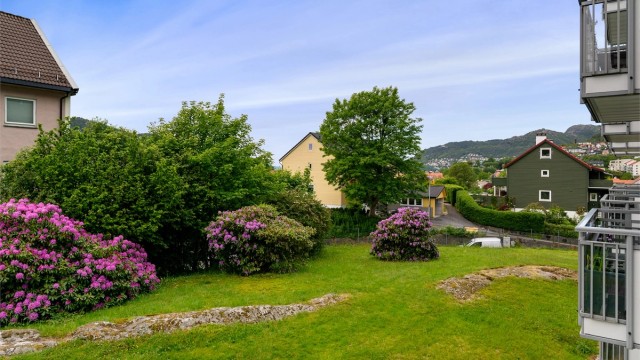 - Om sommeren ser uteområdene slik ut. Nydelige farger med flere nydelige rhododendronbusker på borettslagets tomt -
