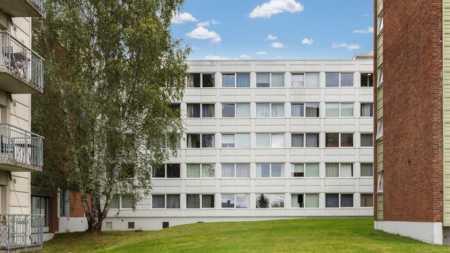 Borettslaget har opparbeidede fellesarealer med plen og beplantning.