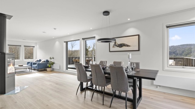 Tallrike vindusflater som slipper inn godt med naturlig lys.