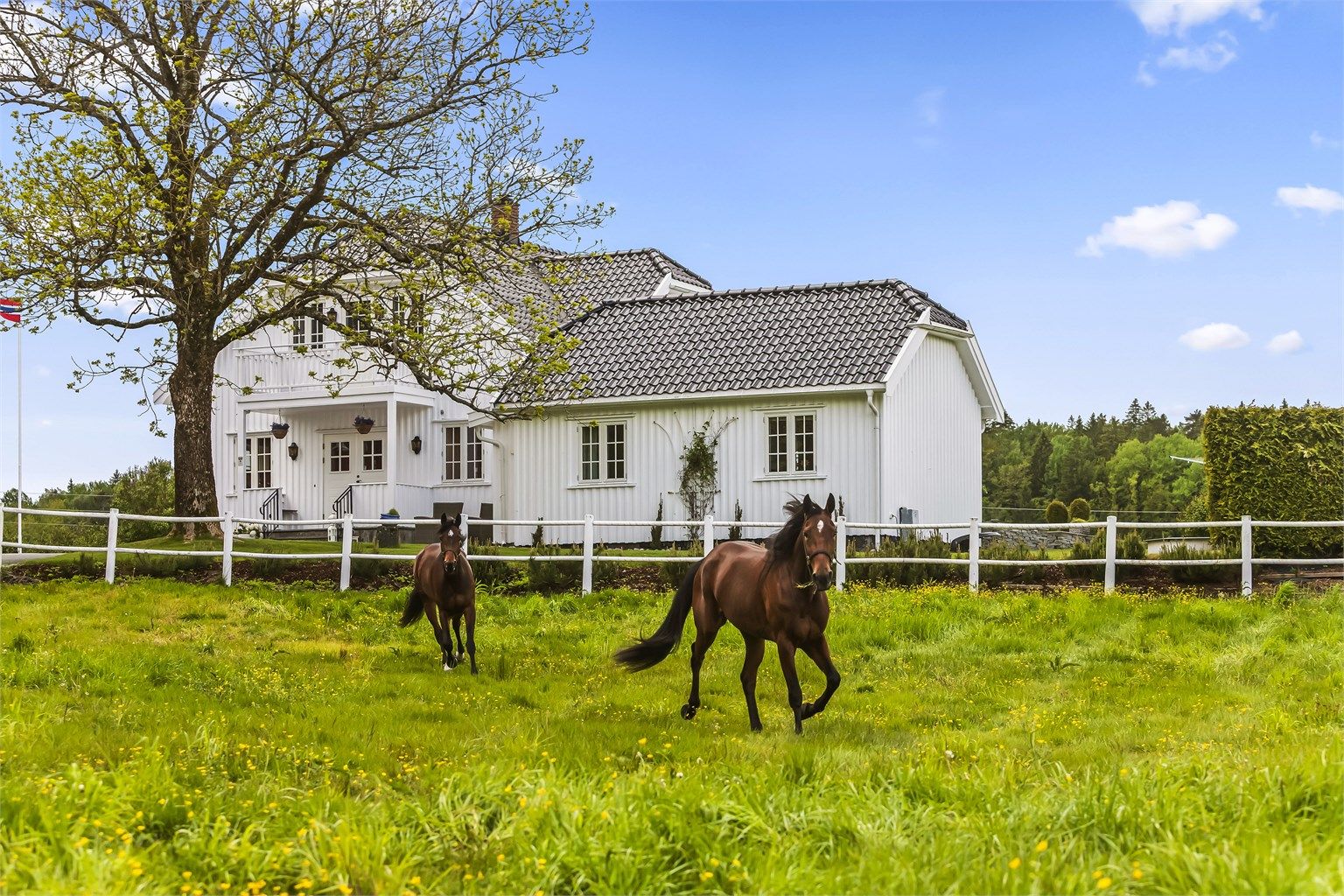Rett utenfor inngangsdøren på hovedhuset/våningshuset har man hestebeiter. Drømmen for en hesteinteressert!