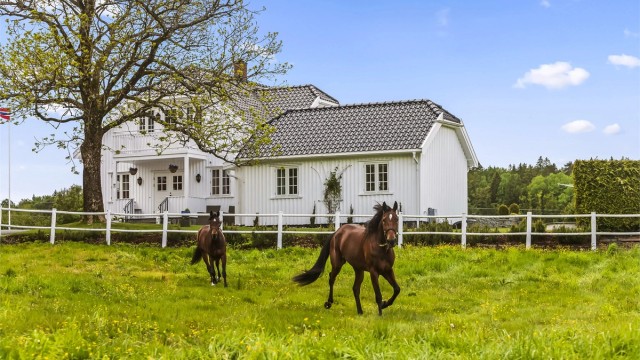 Rett utenfor inngangsdøren på hovedhuset/våningshuset har man hestebeiter. Drømmen for en hesteinteressert!