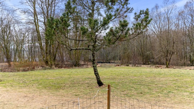 -Utsikt fra terrassen mot Ortuvannet -