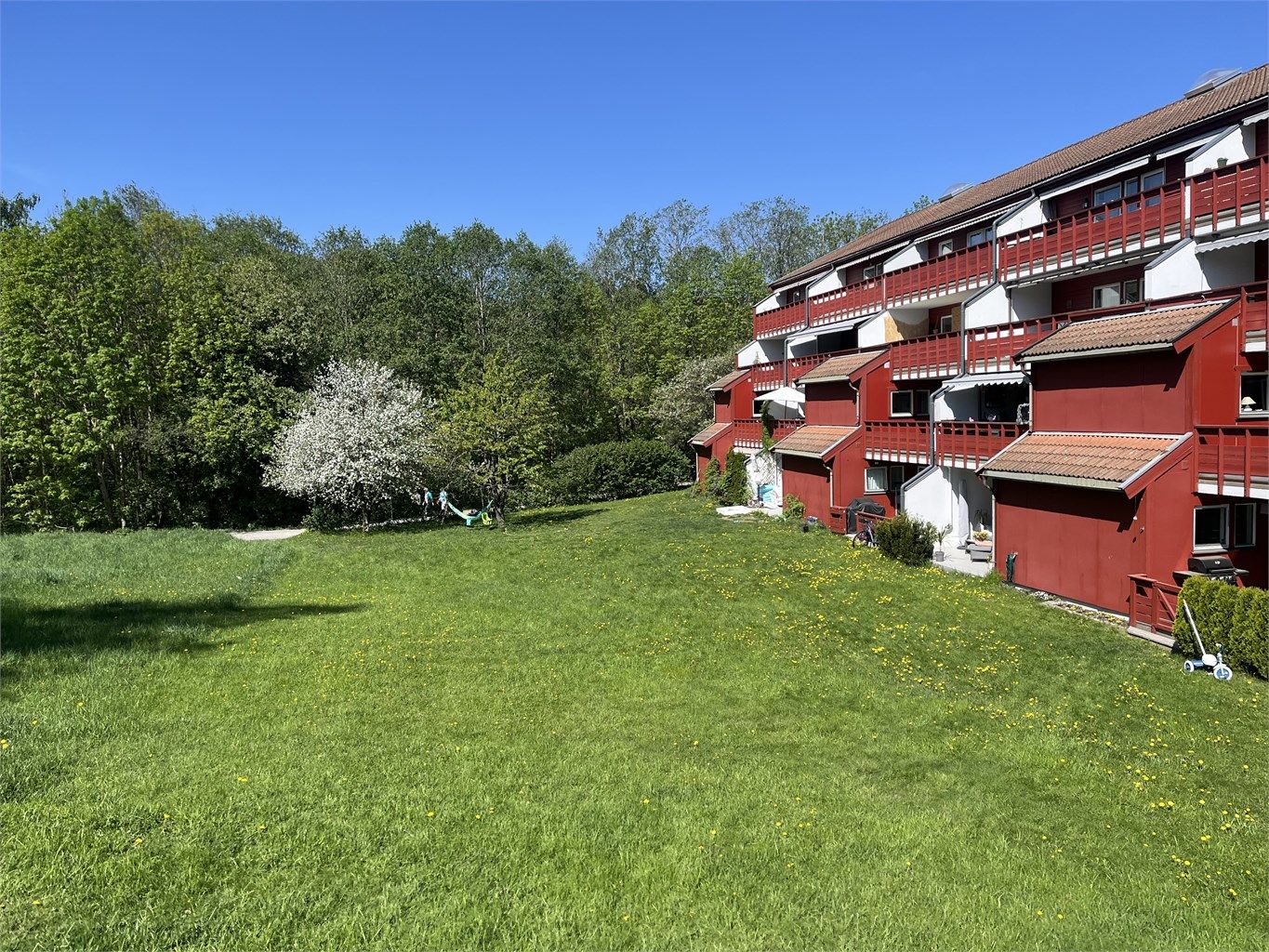 Fasaden sett fra østsiden om våren med epletreet i full blomst. 