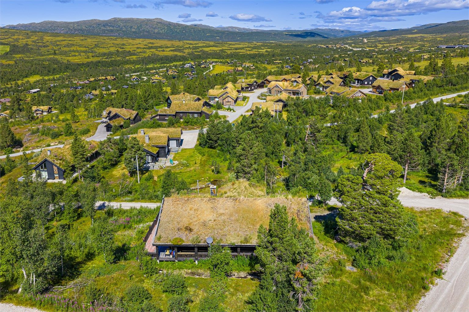 - Velkommen til Hartevasslii 18 - 