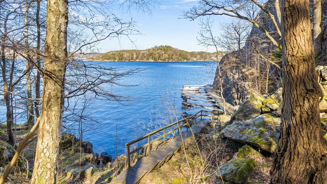 En sti med trapper i tre leder ned til bryggeanlegget og båtplassen. Badestige er det også på brygga.