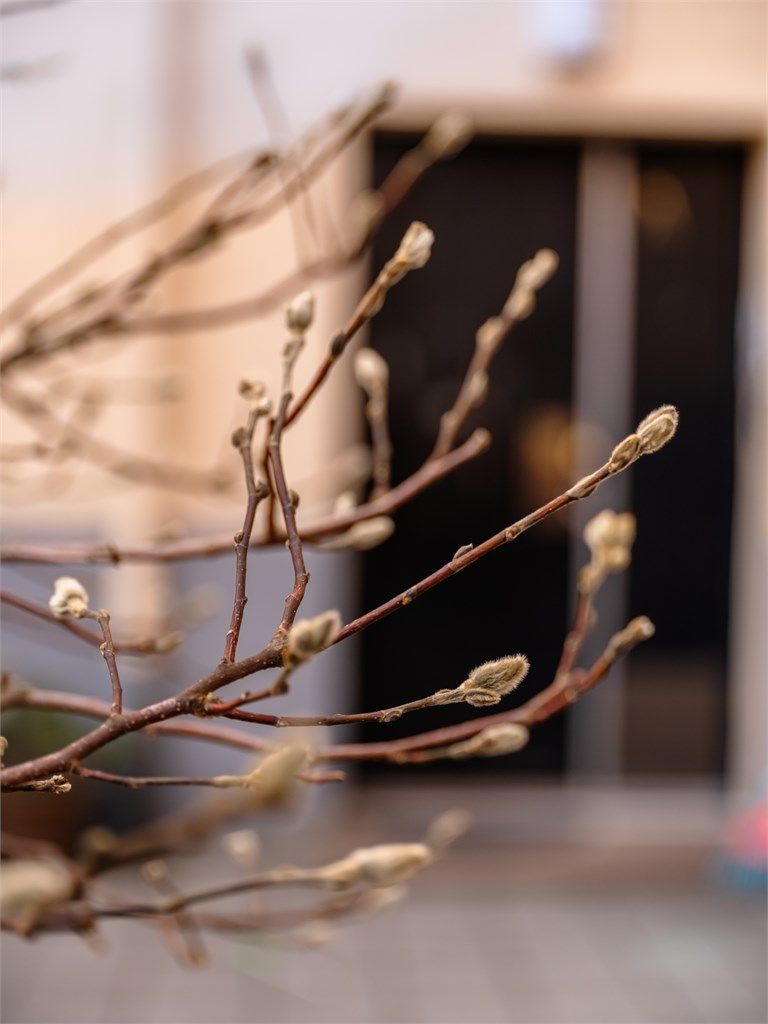 Håper vi sees på visning!