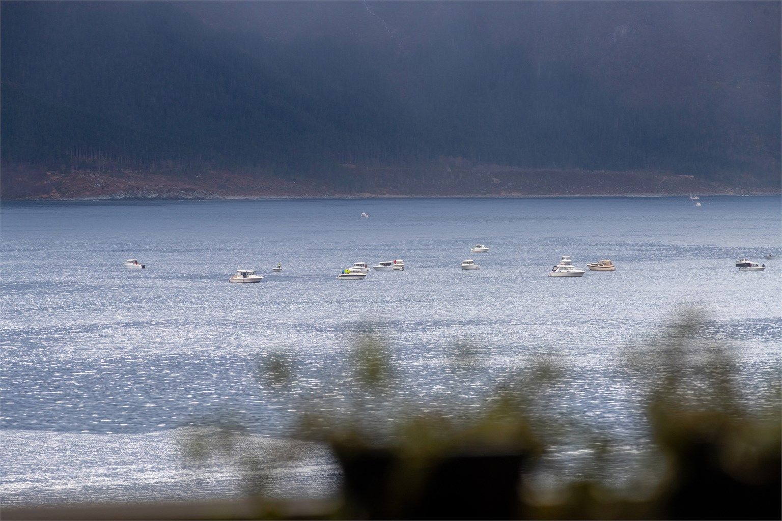 Flott utsikt mot Borgundfiske fra leiligheten