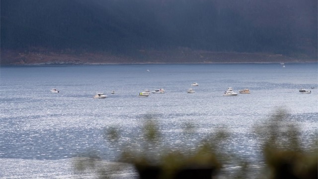 Flott utsikt mot Borgundfiske fra leiligheten