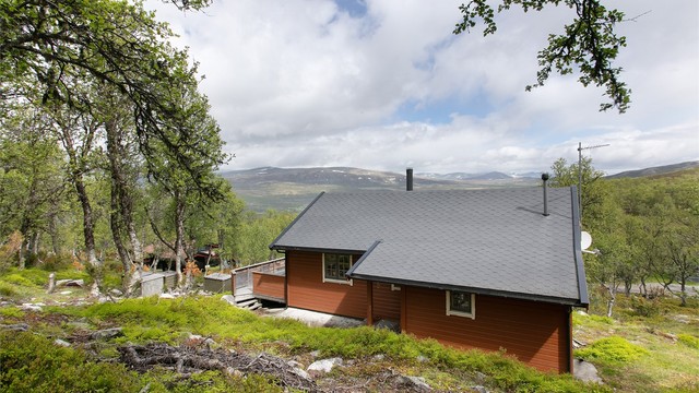 Hytten ligger i et etablert hyttefelt på Dalsida i Lesja kommune. Området oppleves som stille og fredfult.