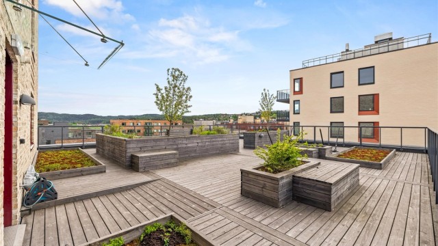Nydelig takterrasse til felles benyttelse.