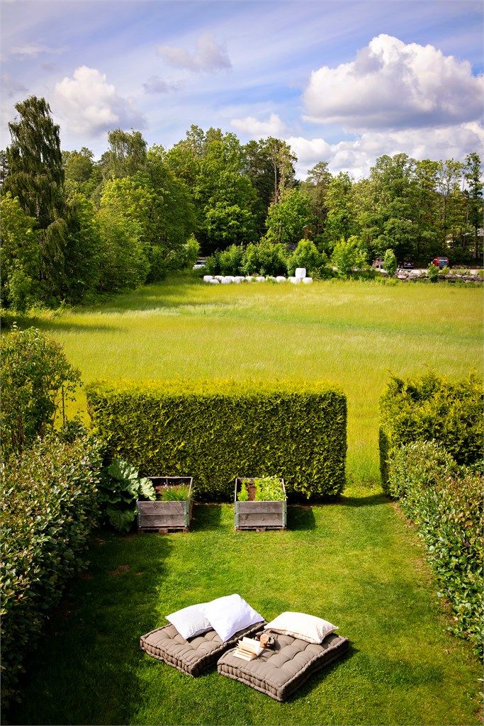 Sommerbilde.
