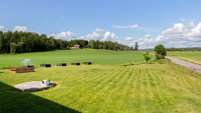 Tomten er pent opparbeidet med gressplen og diverse beplantning.