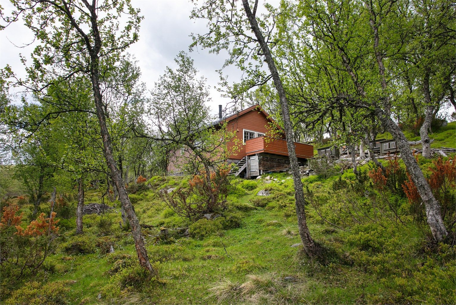 Tomten er i hovedsak naturtomt