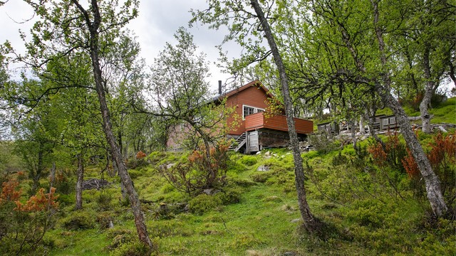 Tomten er i hovedsak naturtomt