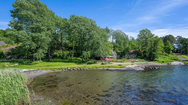 Tenvik
