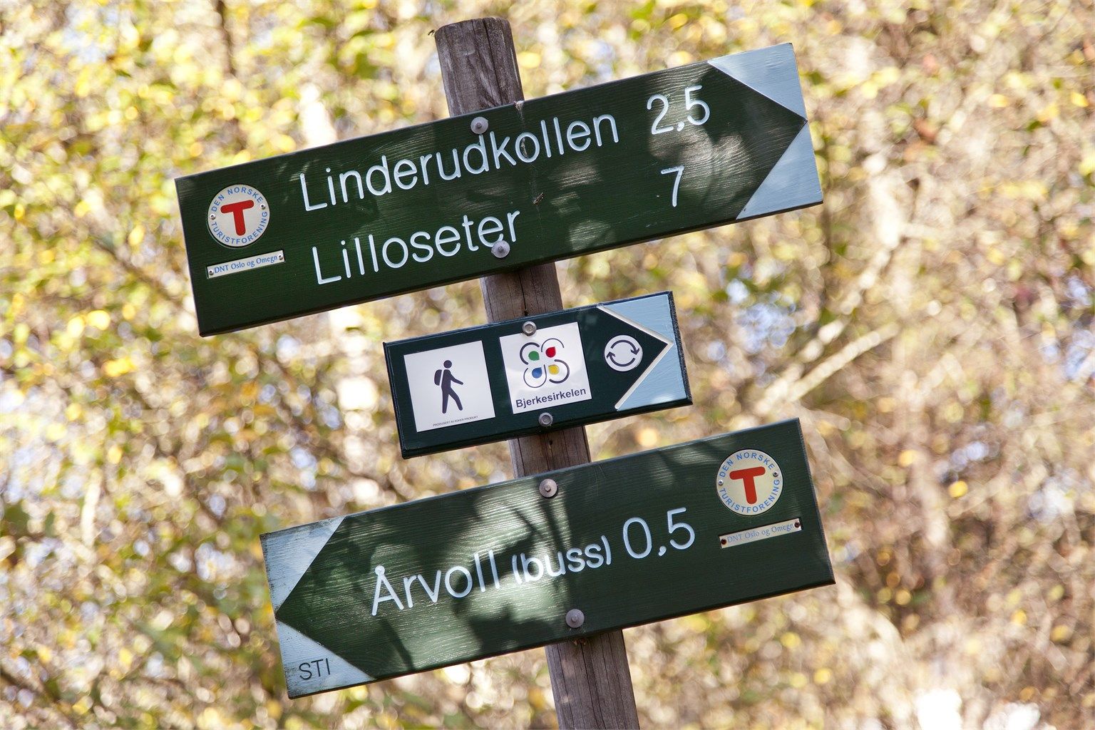 Flotte turmuligheter i nærområdet