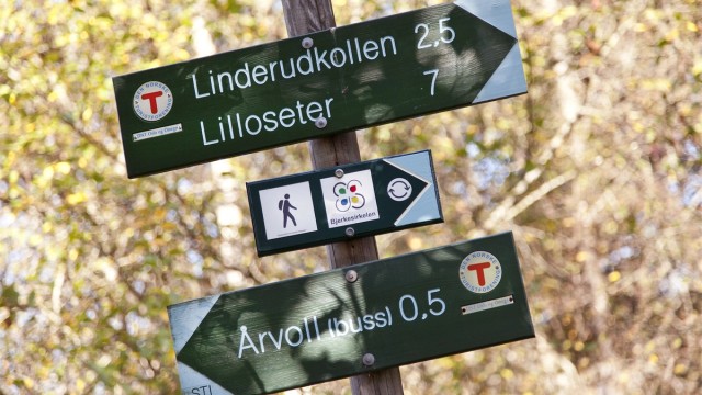 Flotte turmuligheter i nærområdet