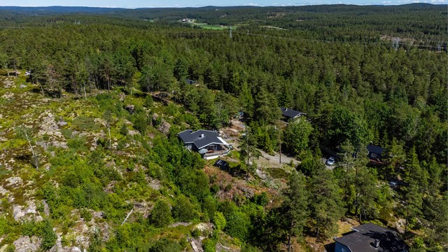 Fra tomten kan du gå direkte ut i skogsområdene hvor det både er mange turmuligheter og stedvis et meget godt sopp- og bærterreng.