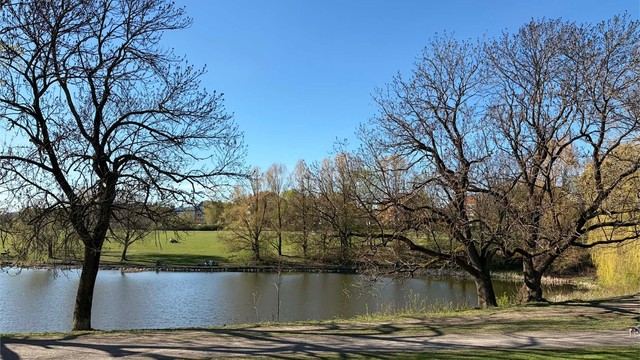 Hovindammen i umiddelbar nærhet.
