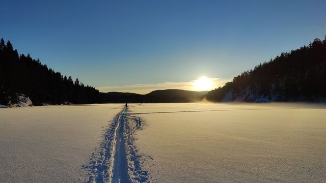 På snørike vinterdager har du en flust av skiløype-muligheter i Østmarka, og disse starter rett utenfor døra di!