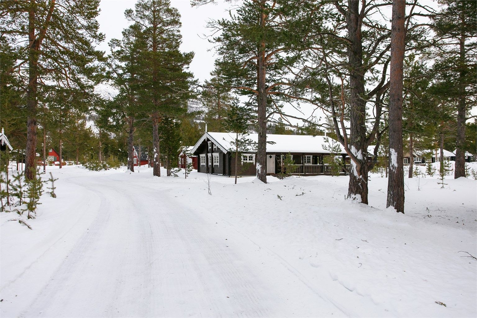 Hytten sett fra adkomstvei